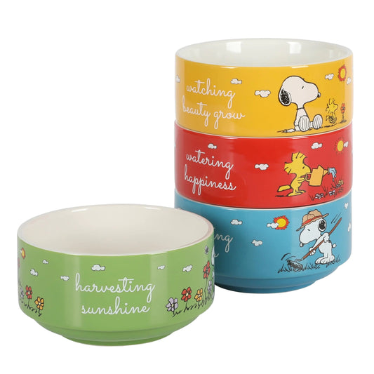 cuencos Peanuts Snoopy